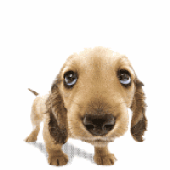 Avatar for JerryNZL