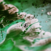 Avatar for ShoogyPeters