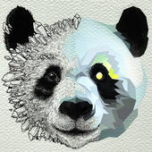 Avatar for pan0xy