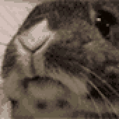 Avatar for Int3r