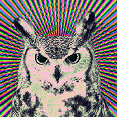 Avatar for backtoromford