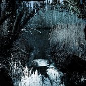 Something in the Water
