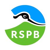 official logo