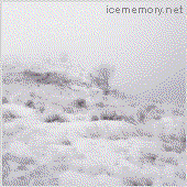 icememory için avatar