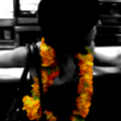 Avatar di xelecktrax