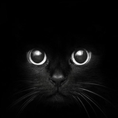 Avatar for okudooka