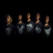 Celestial wolves band picture