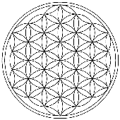 Avatar di eldot