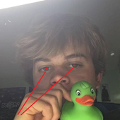 Avatar for biscuitboys