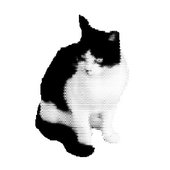 wawawa pfp