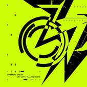 Get Low / All Junglists