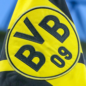 Avatar for BVBler