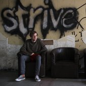 prolific strive, everyday drive