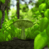 Avatar for retarrrd