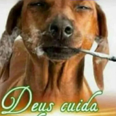 Awatar dla maierxs