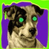 Avatar for TXXT77