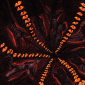 Avatar for insidebane