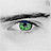 Avatar for s1guy