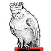 logo for pidgeon sf (noise rock)