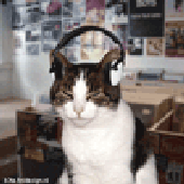 Avatar for A-3DO