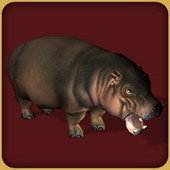 Avatar for lizcar