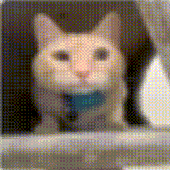 Avatar di Fluffy_21