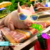 CollinPeck için avatar