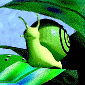 Avatar for patronkat