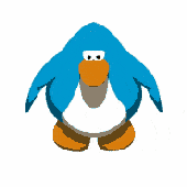micibird 的头像