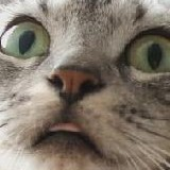 Avatar für ConcentricJazz