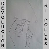 Revolución ni Pollas