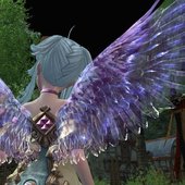 IMG_5403.jpeg