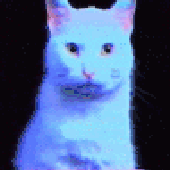 Avatar for plsdolan