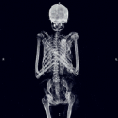 Avatar de dabocafi