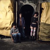 https://www.instagram.com/vegtable.band/