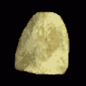 Avatar for Sveltest