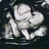 Avatar for ferritium