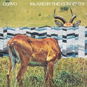 Island in the Currents
