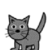 Avatar for Kosma