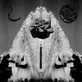 Seraphastra