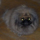 Avatar for WujaszekLo