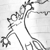 Avatar für Shirsh