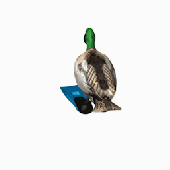 Avatar di OLKEUK