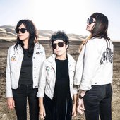 Coathangers 2016