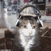 Avatar for Gav777