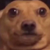 Аватар для xraphs