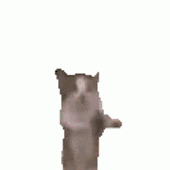 Avatar for vampher