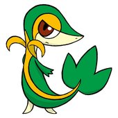 cloud:resolve snivy