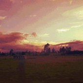 IMG_6108.jpeg
