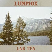 Lummox